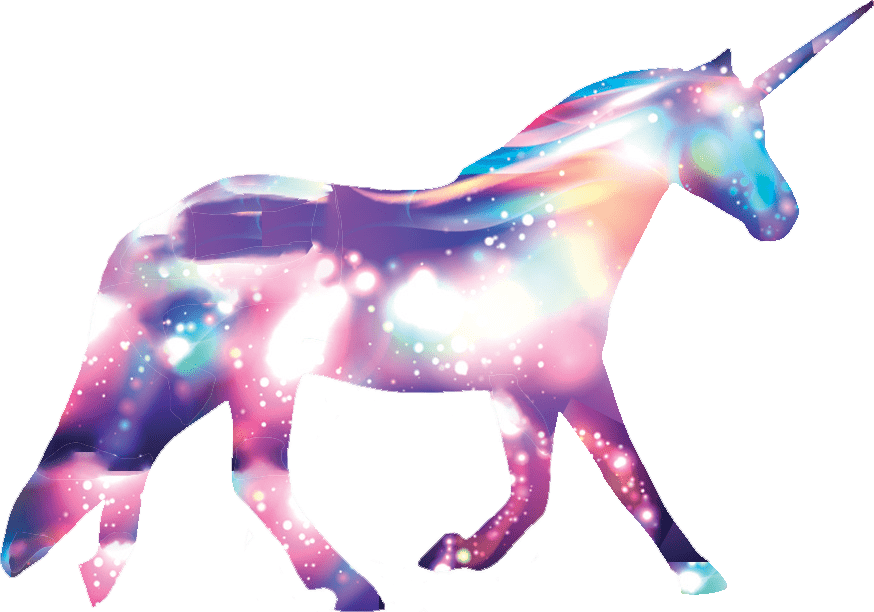 My Digital Unicorn